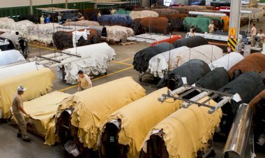 Exportação de couro cai em setembro, mas a cotação é a maior do ano