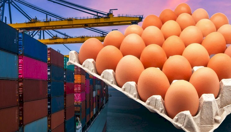 Exportações de ovos crescem 29,4% em setembro e alcançam 2,7 mil toneladas