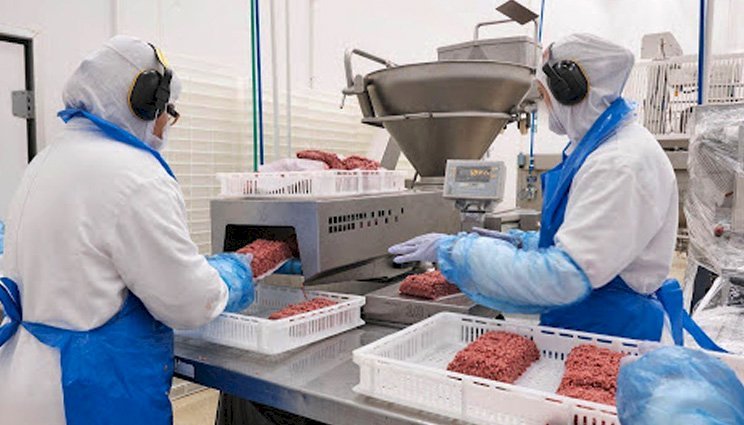 Alfama projeta faturar R$ 385 milhões em 2026 impulsionada por carnes porcionadas e franquias